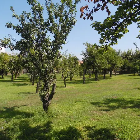Bianca Bed & Breakfast Castellammare di Stabia